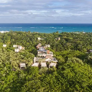 https://casa-coyote.allrivieramayahotels.com